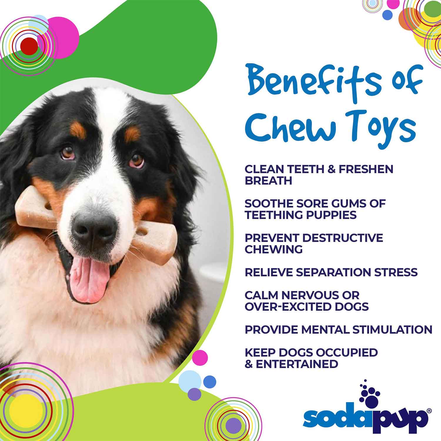 Sodapup Mod Bone Ultra Durable Nylon Dog Chew Toy Benefits