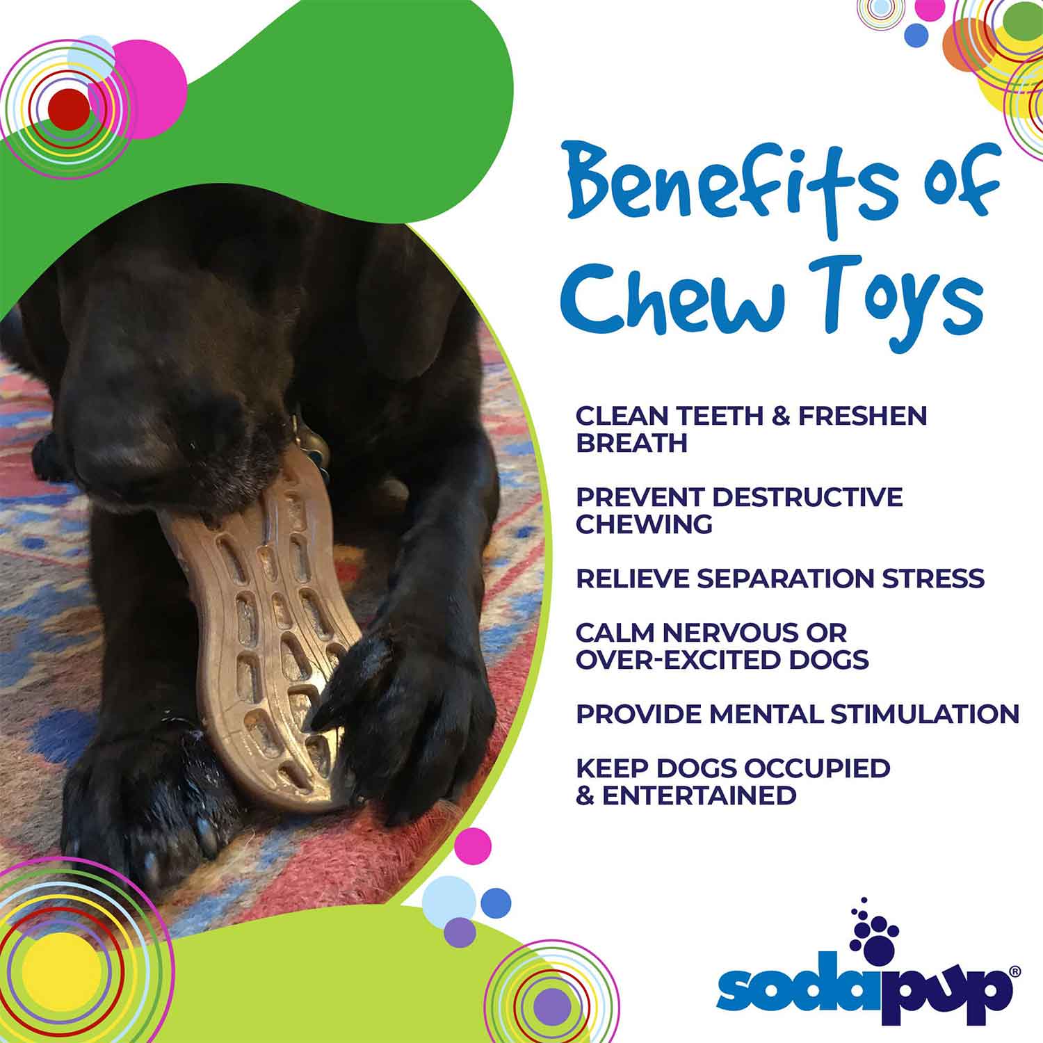 Sodapup Peanut Ultra Durable Nylon Dog Chew Toy Benefits