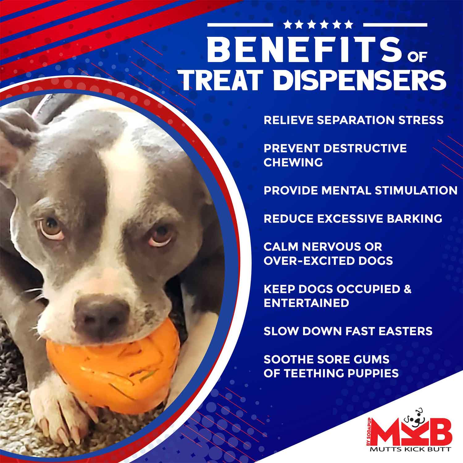 Sodapup Roasted Turkey Durable Rubber Dog Chew Toy & Treat Dispenser Benefits