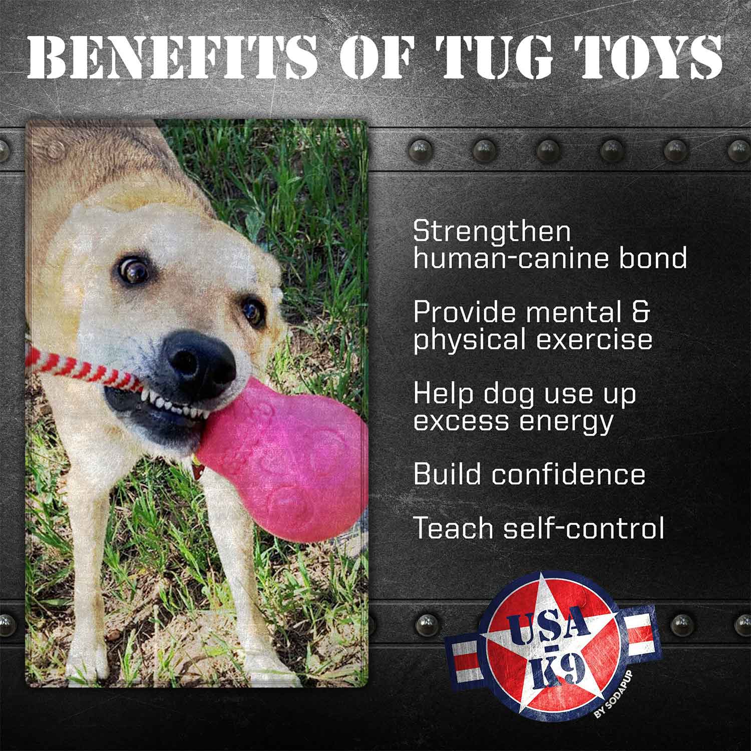Sodapup USA-K9 Skull Durable Rubber Chew Toy, Treat Dispenser, Reward Toy, Tug Toy & Retrieving Toy Pink Benefits