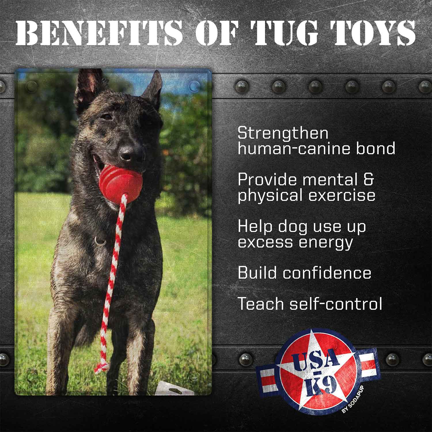 Sodapup USA-K9 Stars and Stripes Ultra Durable Rubber Chew Toy, Reward Toy, Tug Toy & Retrieving Toy Red Benefits