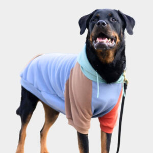 Spark Paws Alpine Dog Hoodie Rottweiler wearing dog hoodie
