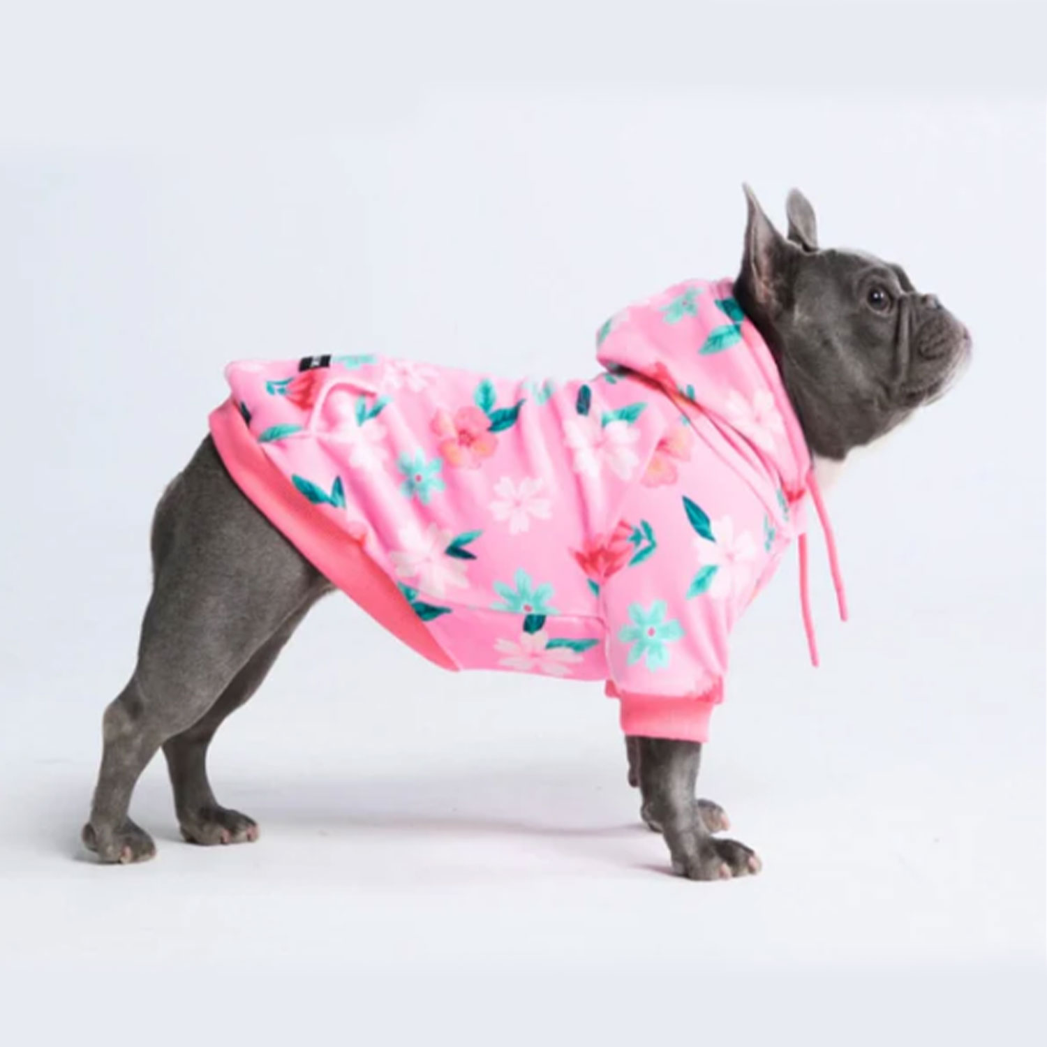 Spark Paws Blossom Dog Hoodie Pink