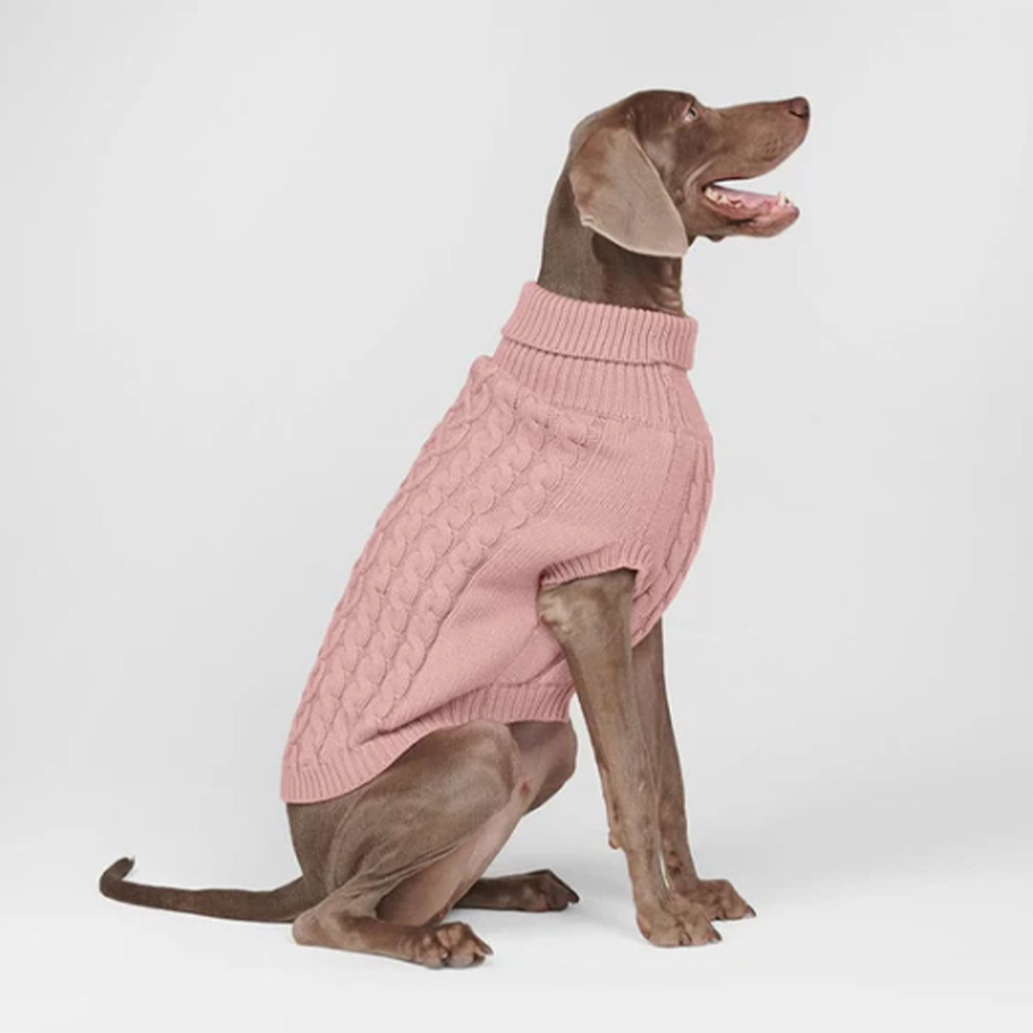 Spark Paws Cable Knit Dog Sweater Pink Weimaraner