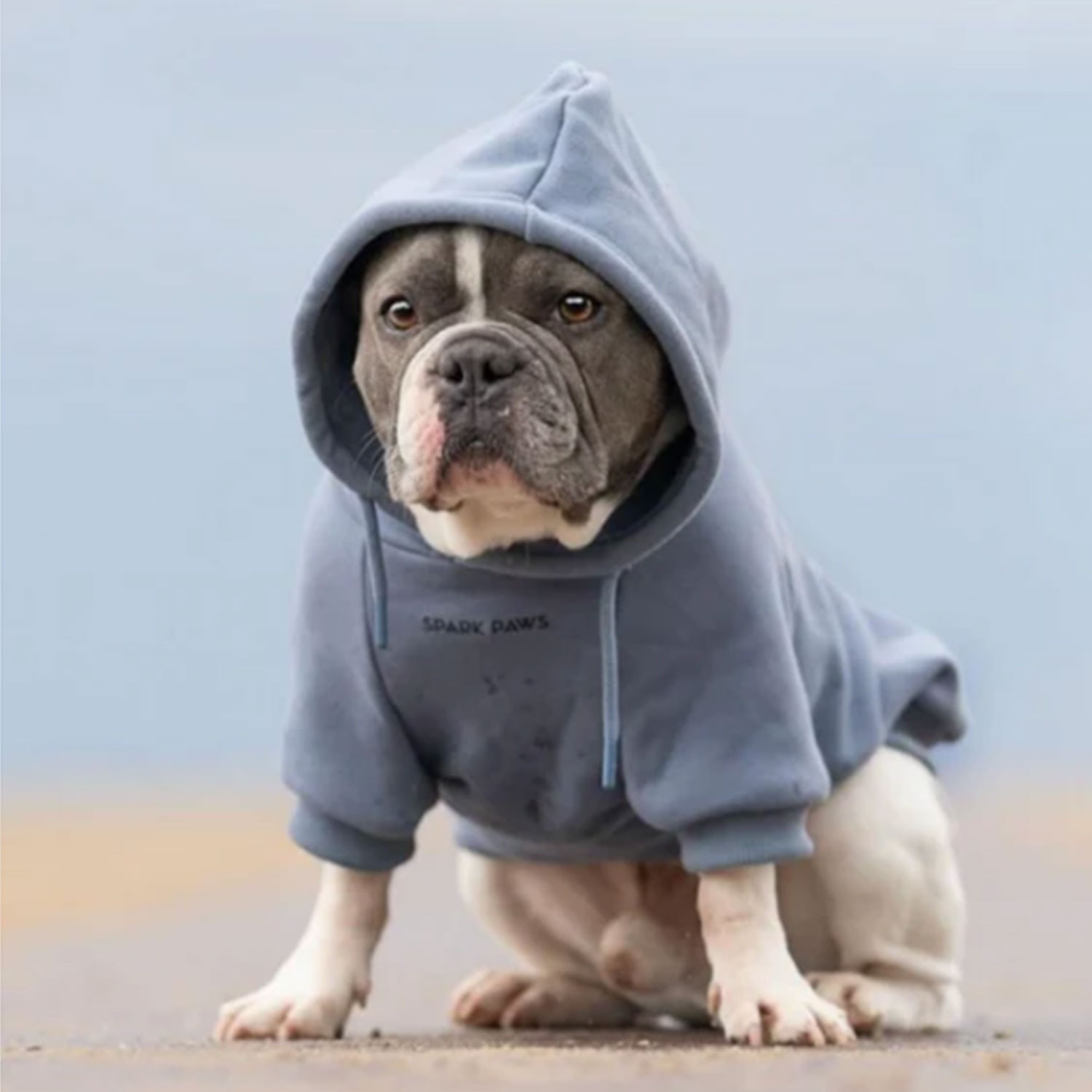 Spark Paws Essential Dog Hoodie Slate Blue Bully Breeds