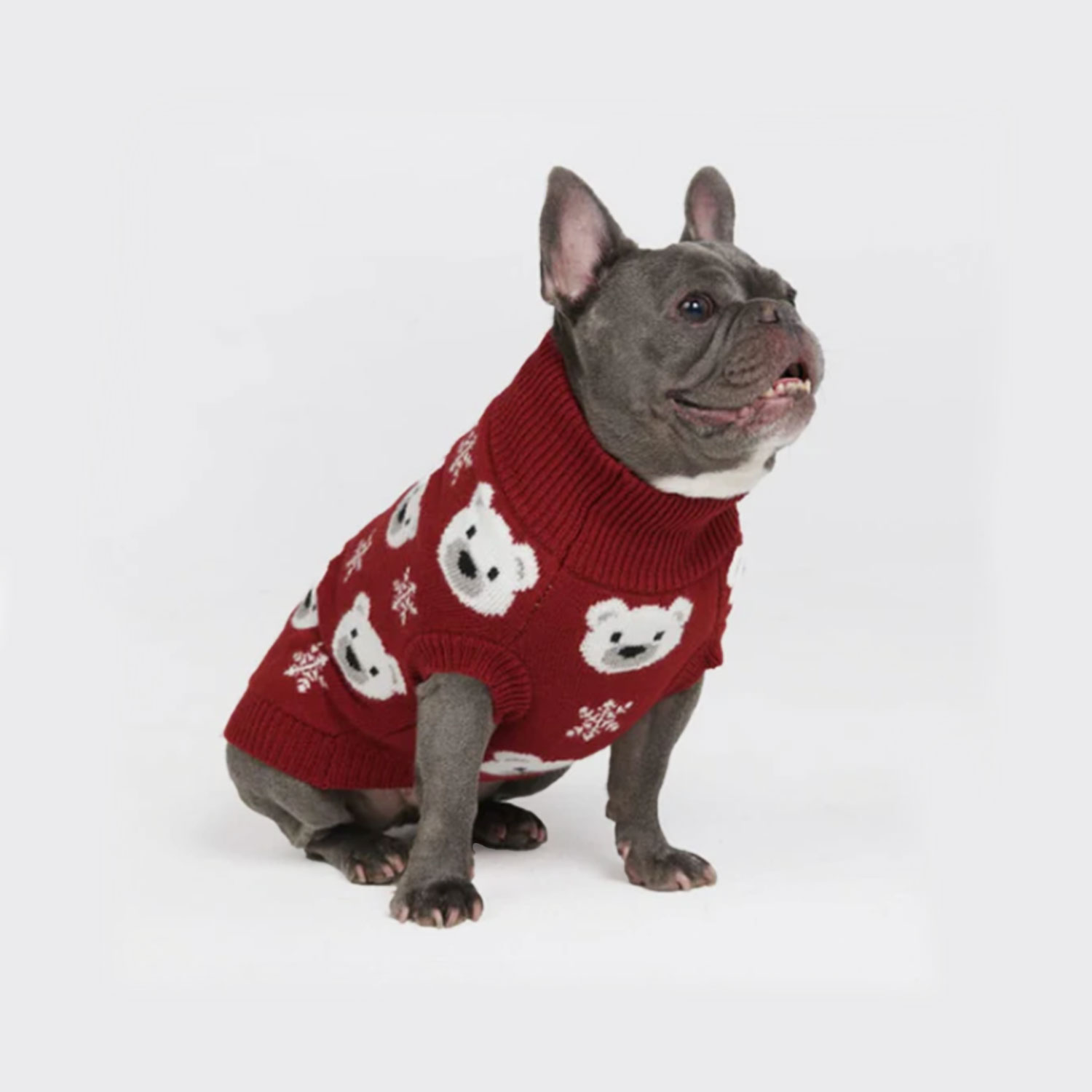 Spark Paws Polar Bear Knit Dog Sweater Frenchie