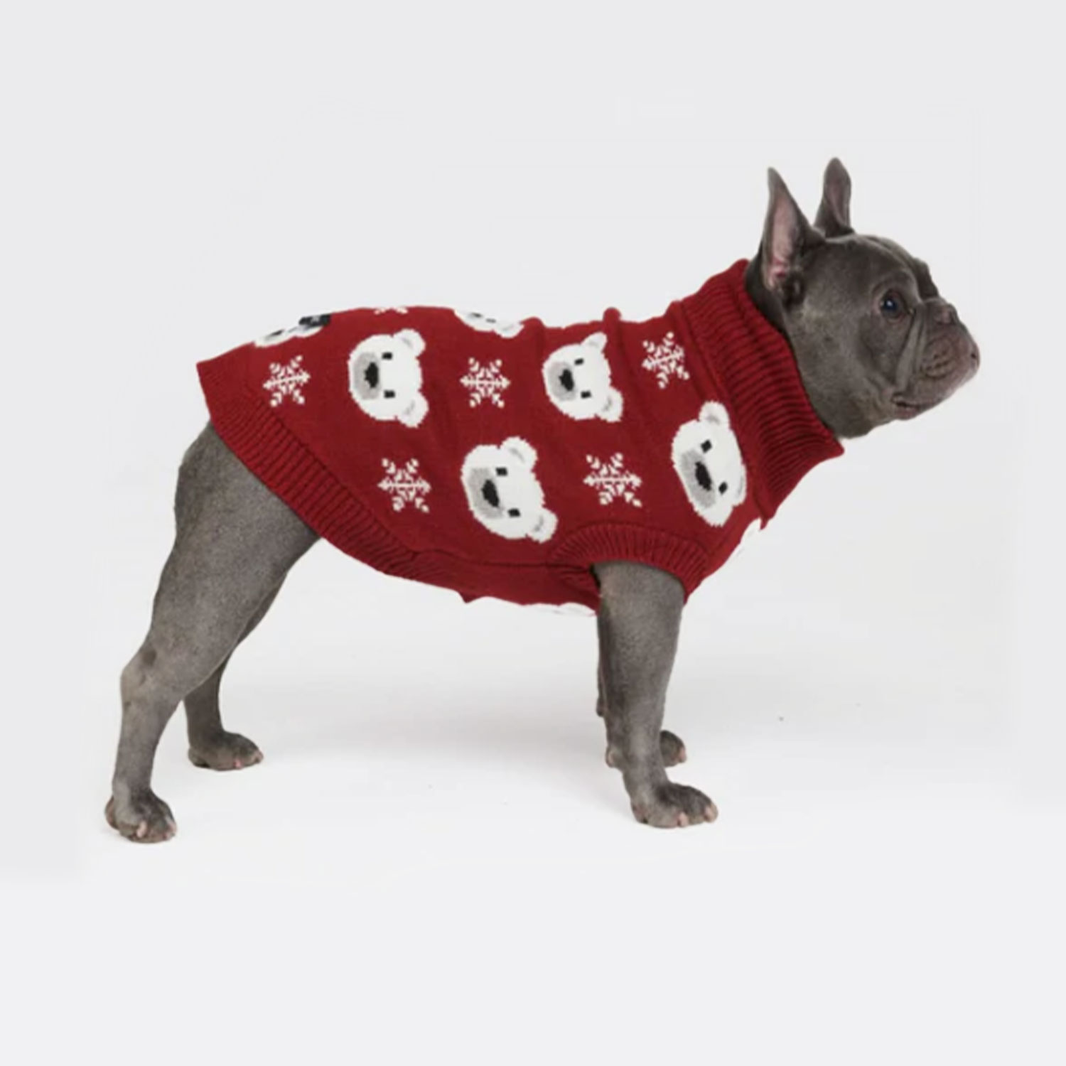 Spark Paws Polar Bear Knit Dog Sweater