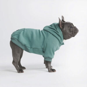 Spark Paws Essential Dog Hoodie Teal