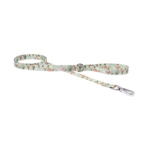Ferribiella Balloons Dog Leash