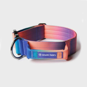 Spark Paws Comfort Control Dog Collar - Kaleidoscope