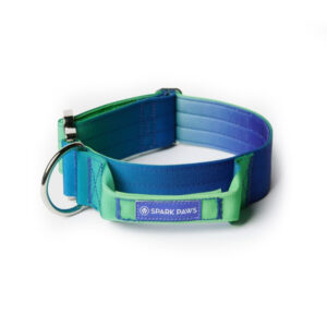 Comfort Control Dog Collar - Lime Wave