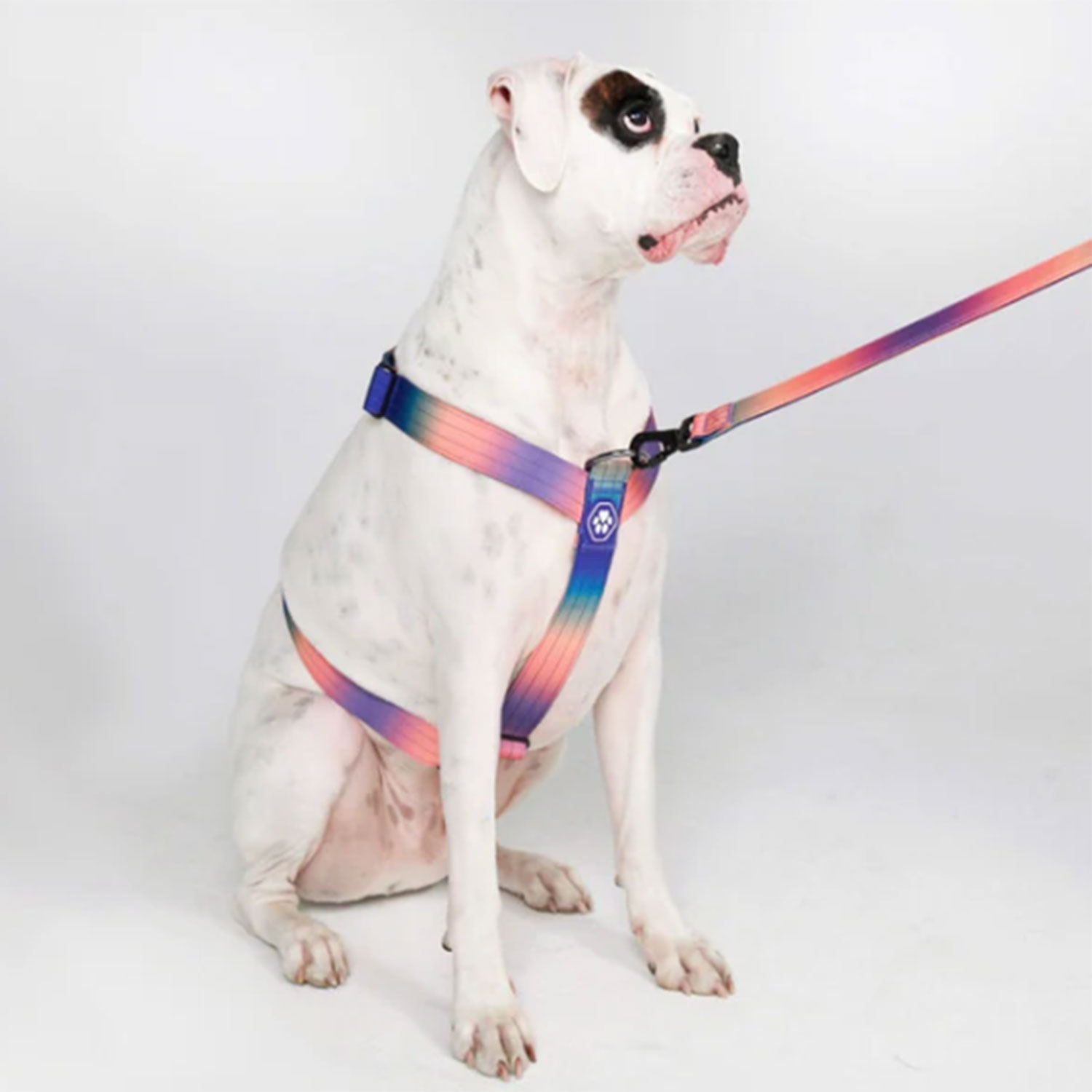 Spark Paws Comfort Control No Pull Dog Harness Kaleidoscope