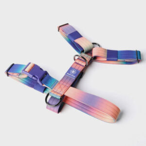 Spark Paws Comfort Control No Pull Dog Harness - Kaleidoscope