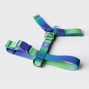 Spark Paws Comfort Control No Pull Dog Harness Lime Wave