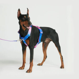 Spark Paws Comfort Control No-Pull Dog Harness Snow Cone