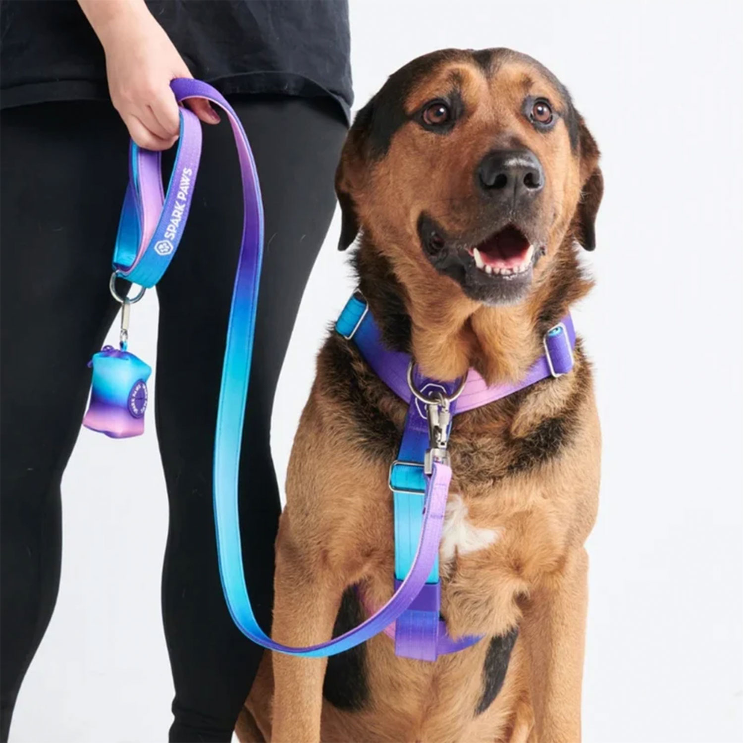 Dog wearing Spark Paws Comfort Control Dog Leash 90s Retro