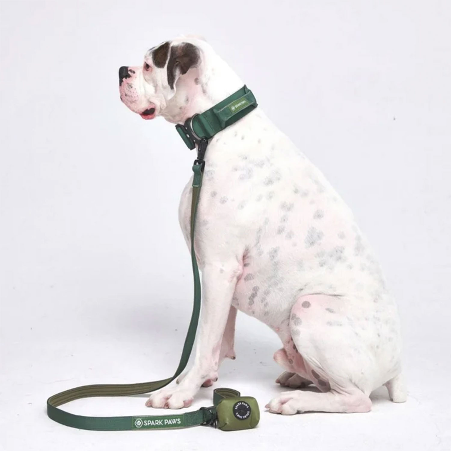 Comfort Control Dog Leash - Army Green - Image 2