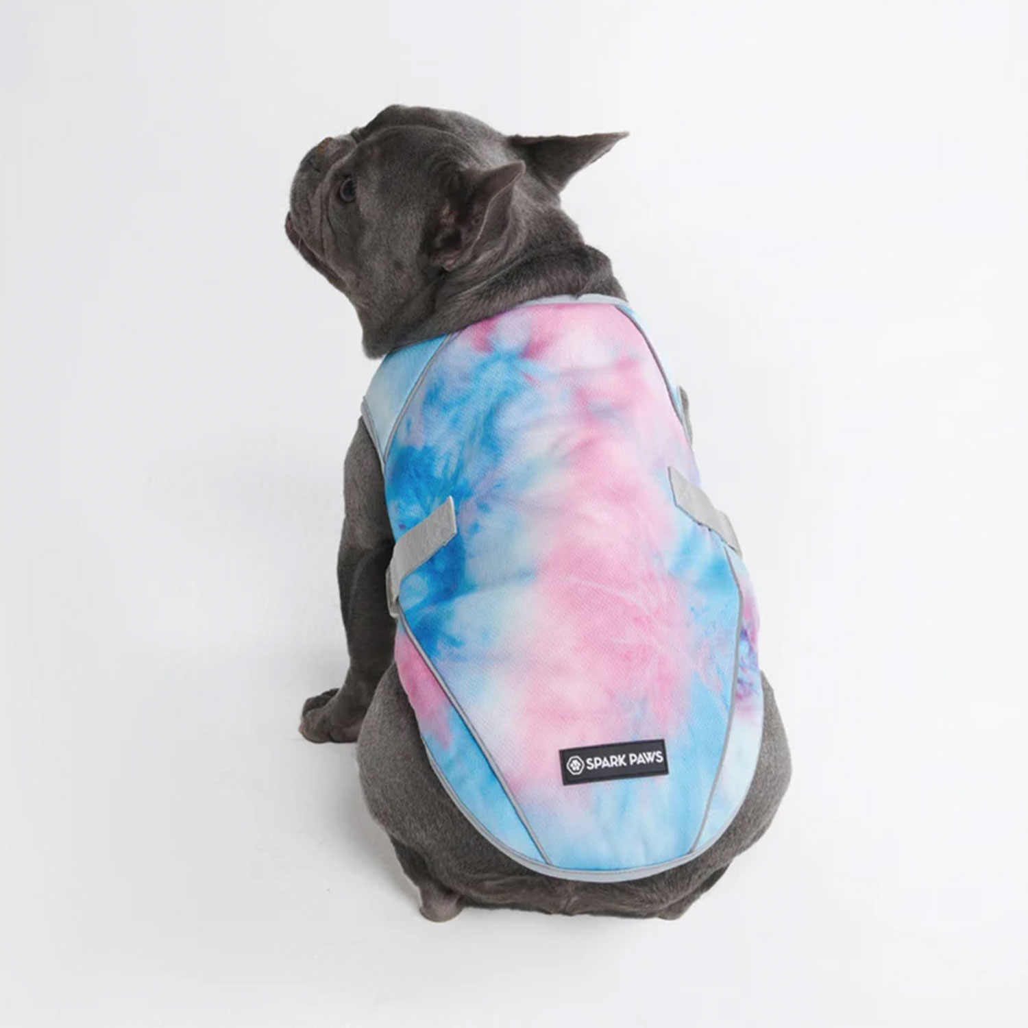 Frenchie wearing Spark Paws Dog Cooling Vest Snow Cone Back