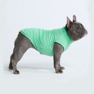 Frenchie wearing Spark Paws Sunblock Dog T-Shirt Mint