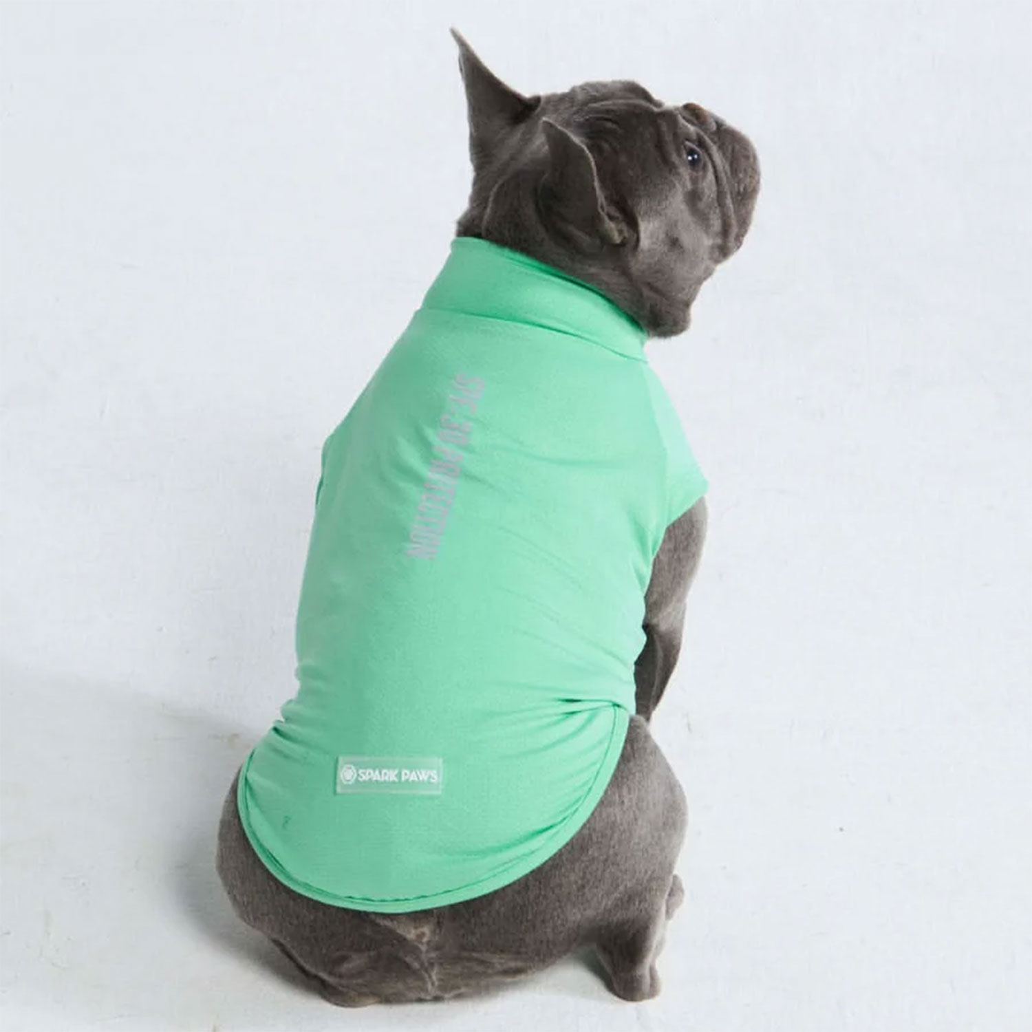 Frenchie wearing Spark Paws Sunblock Dog T-Shirt Mint Back