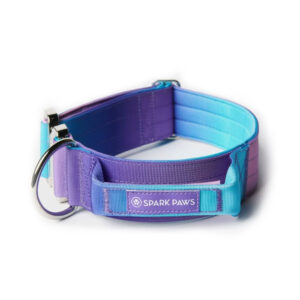 Spark Paws Comfort Control Dog Collar 90s Retro