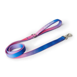 Spark Paws Comfort Control Dog Leash Snow Cone