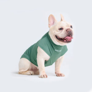 Spark Paws Sunblock Dog T-Shirt Dark Green