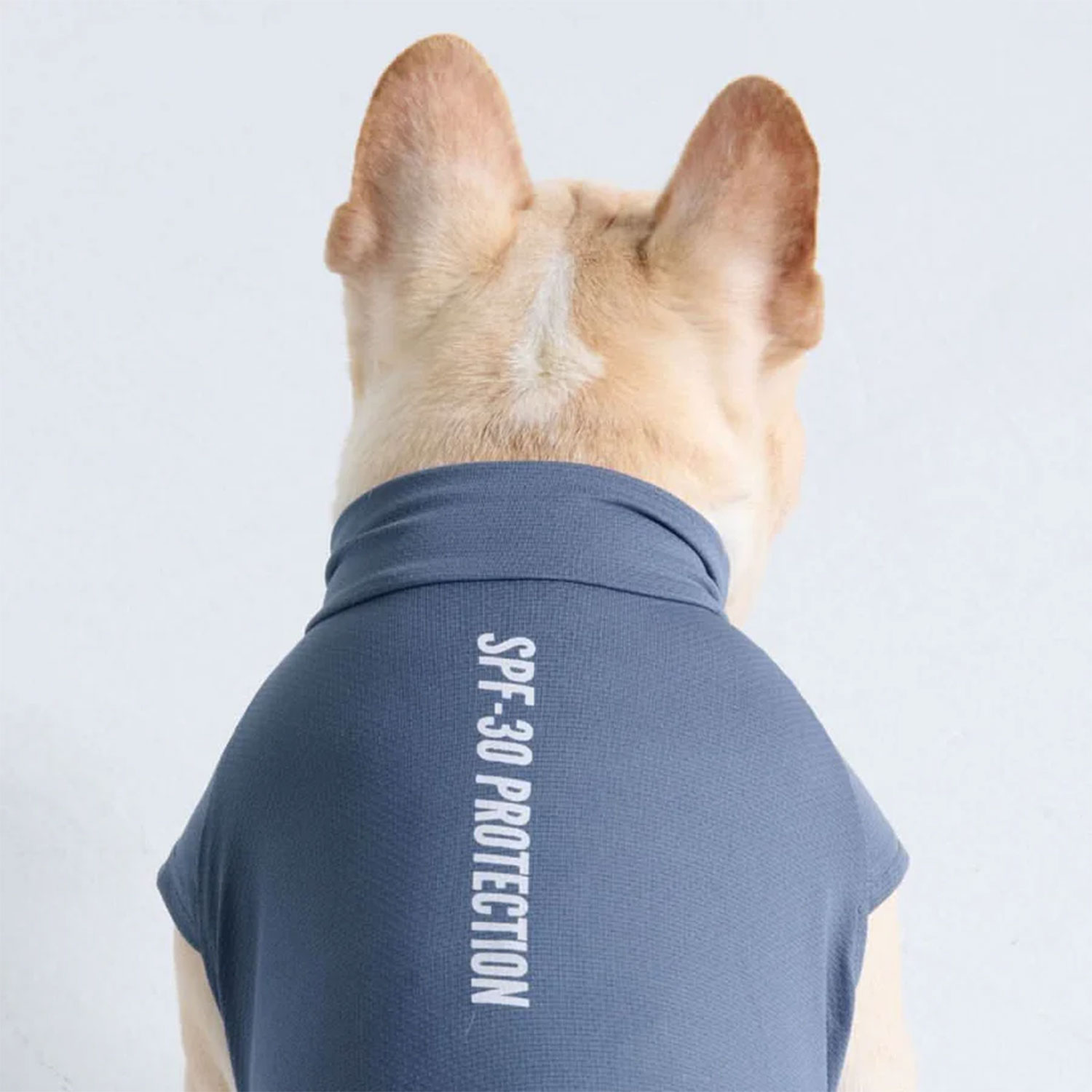 Spark Paws Sunblock Dog T-Shirt Navy Blue Back