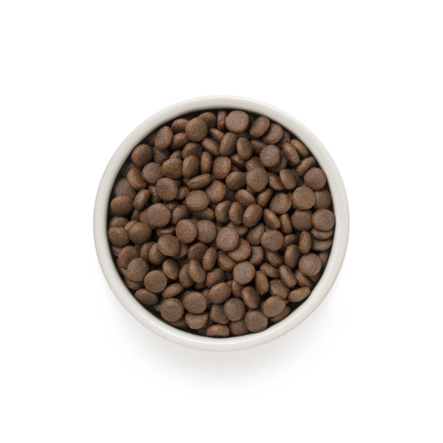 Grandorf 4 Meat Adult Medium & Maxi Breeds Dog Dry Food Hypoallergenic Dog Food Kibble