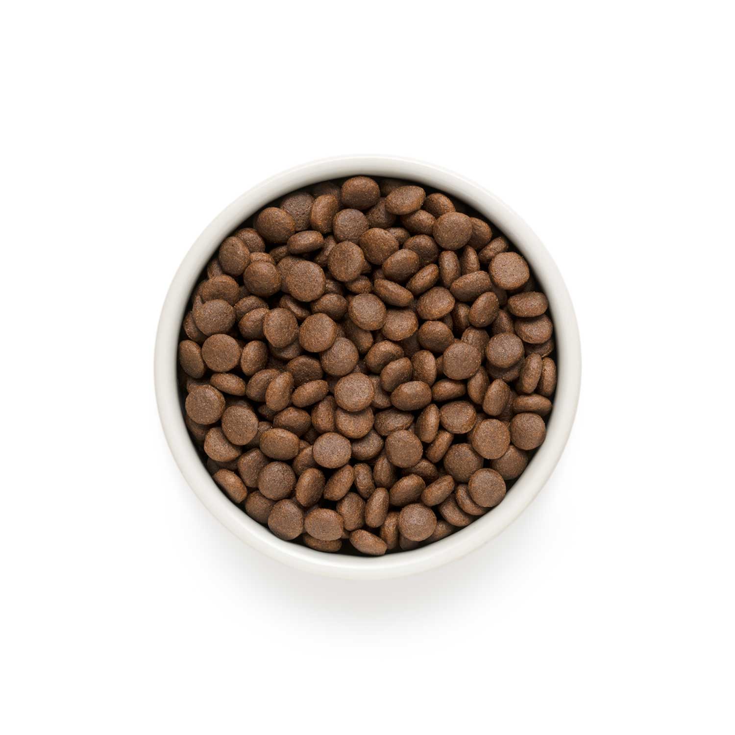 Lamb & Turkey Junior Medium & Maxi Dog Dry Food - Image 2