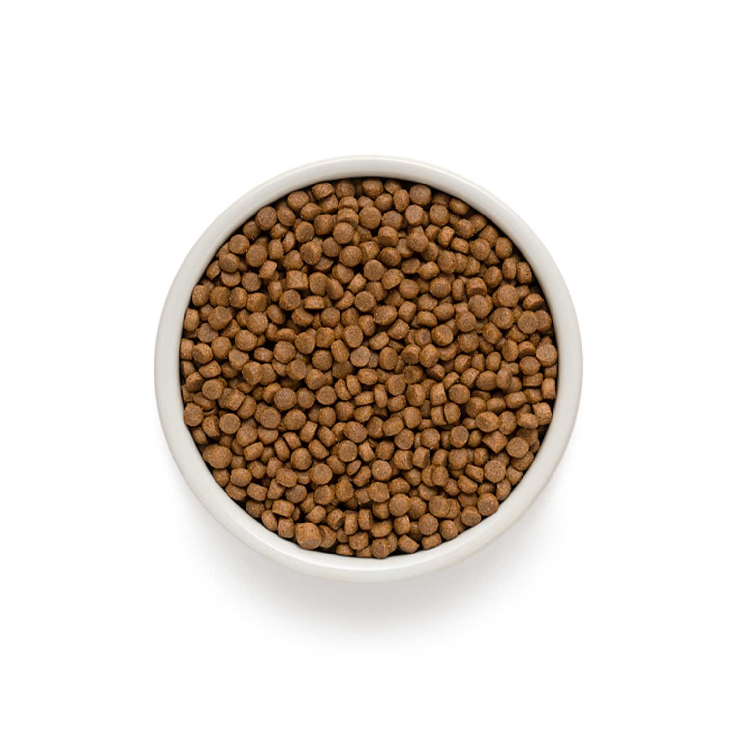 Grandorf Lamb & Turkey Puppy Dry Food Hypoallergenic Dog Food Kibble