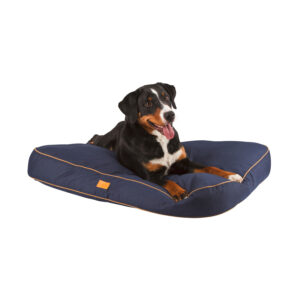 Kerbl Dog resting in Jerome Dog Bed - Navy