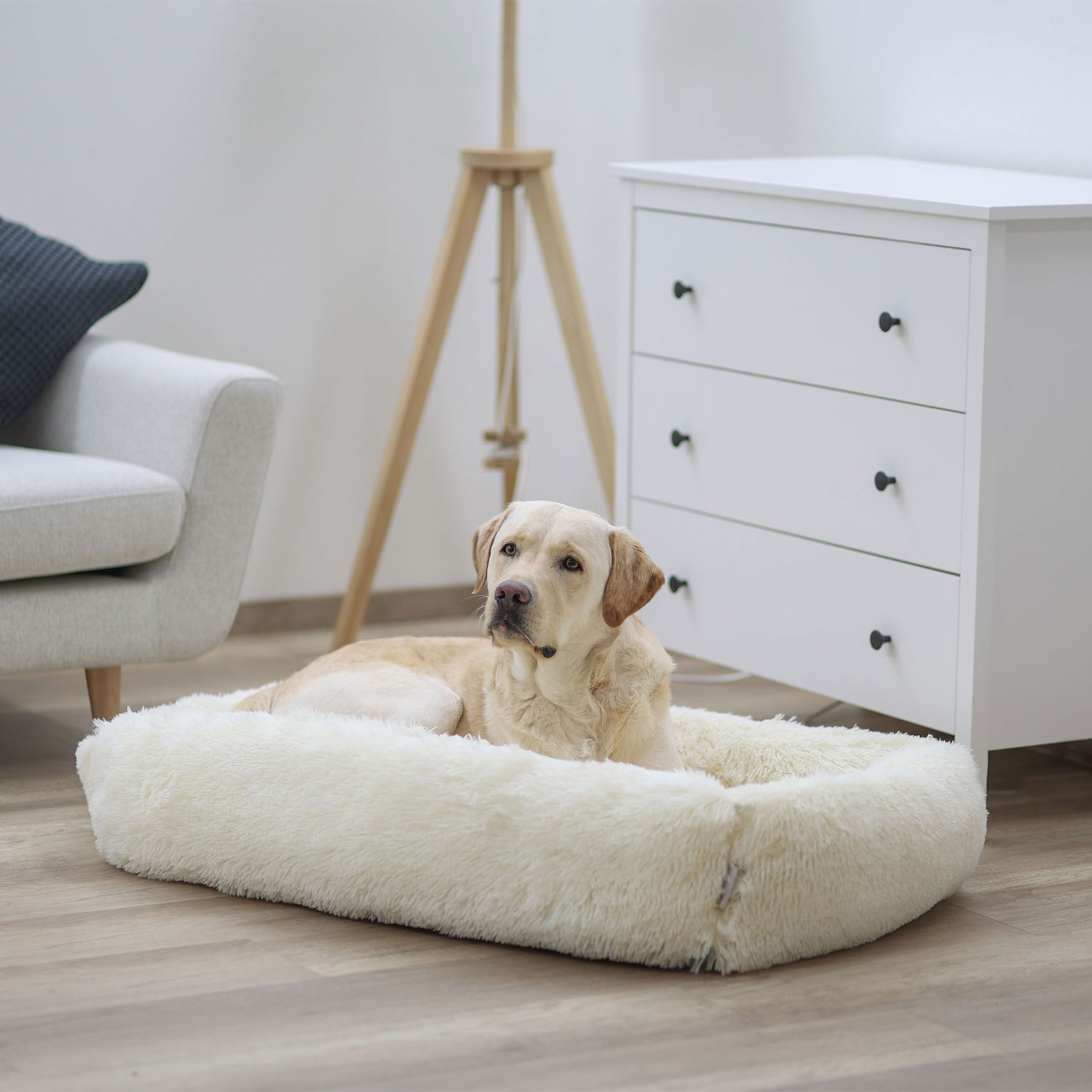 Labrador resting in Kerbl Fluffy Snuggle Dog Bed - Cream