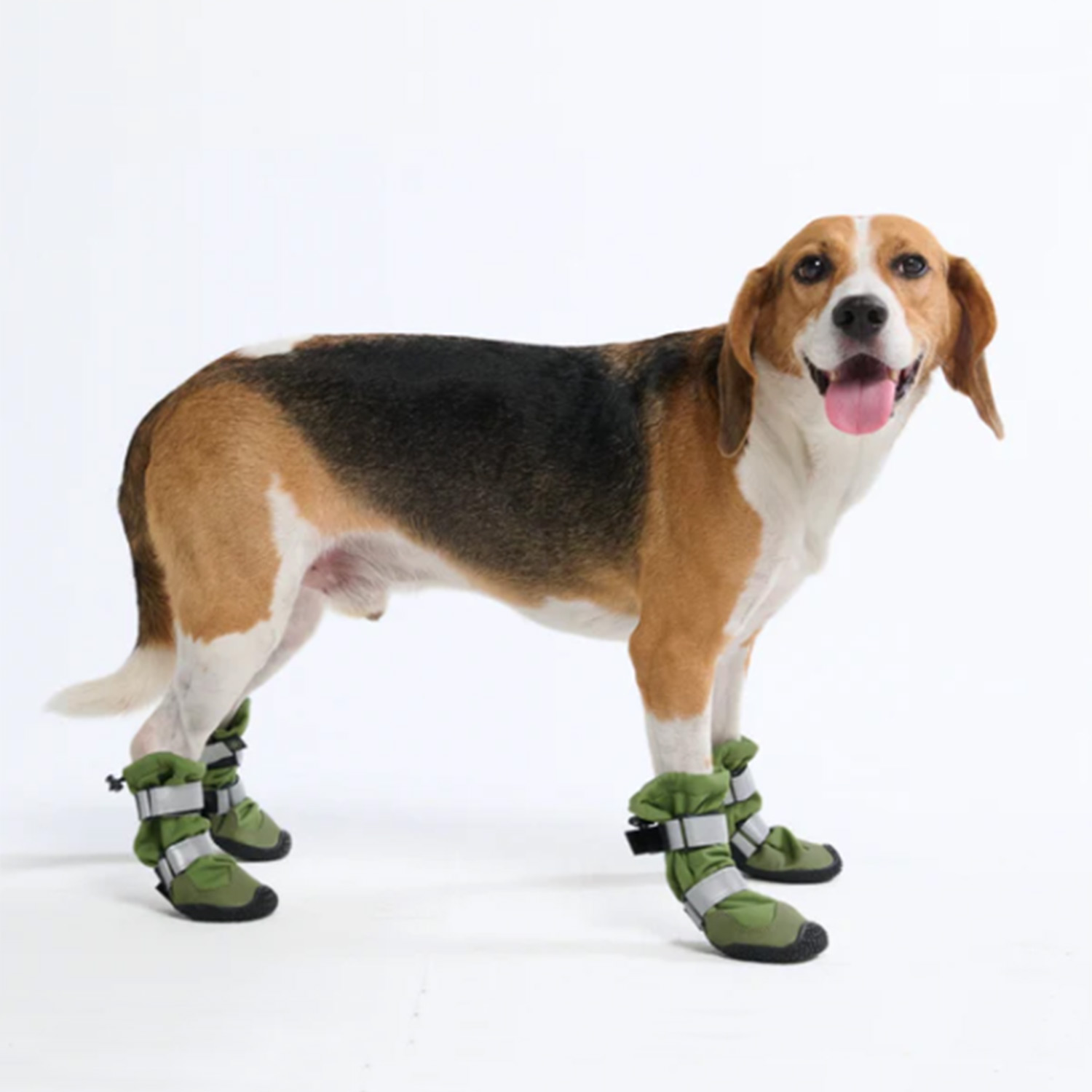 Beagle wearing Spark Paws Flex Shell Waterproof Dog Boots Green