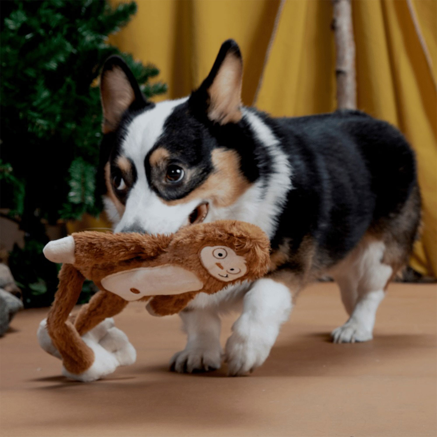 Corgi Playing with Bark Hairy Henderson Dog Plush Toy