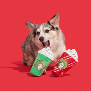 Corgi playing with Bark Fa-la-la-la Lattes Squeaky Plush Dog Toy