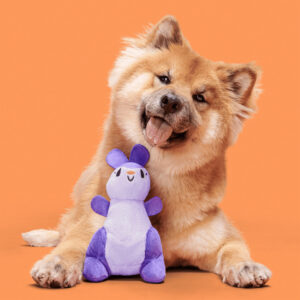Cute dog with Bark Topanga Kanga Dog Squeaky Plush Toy