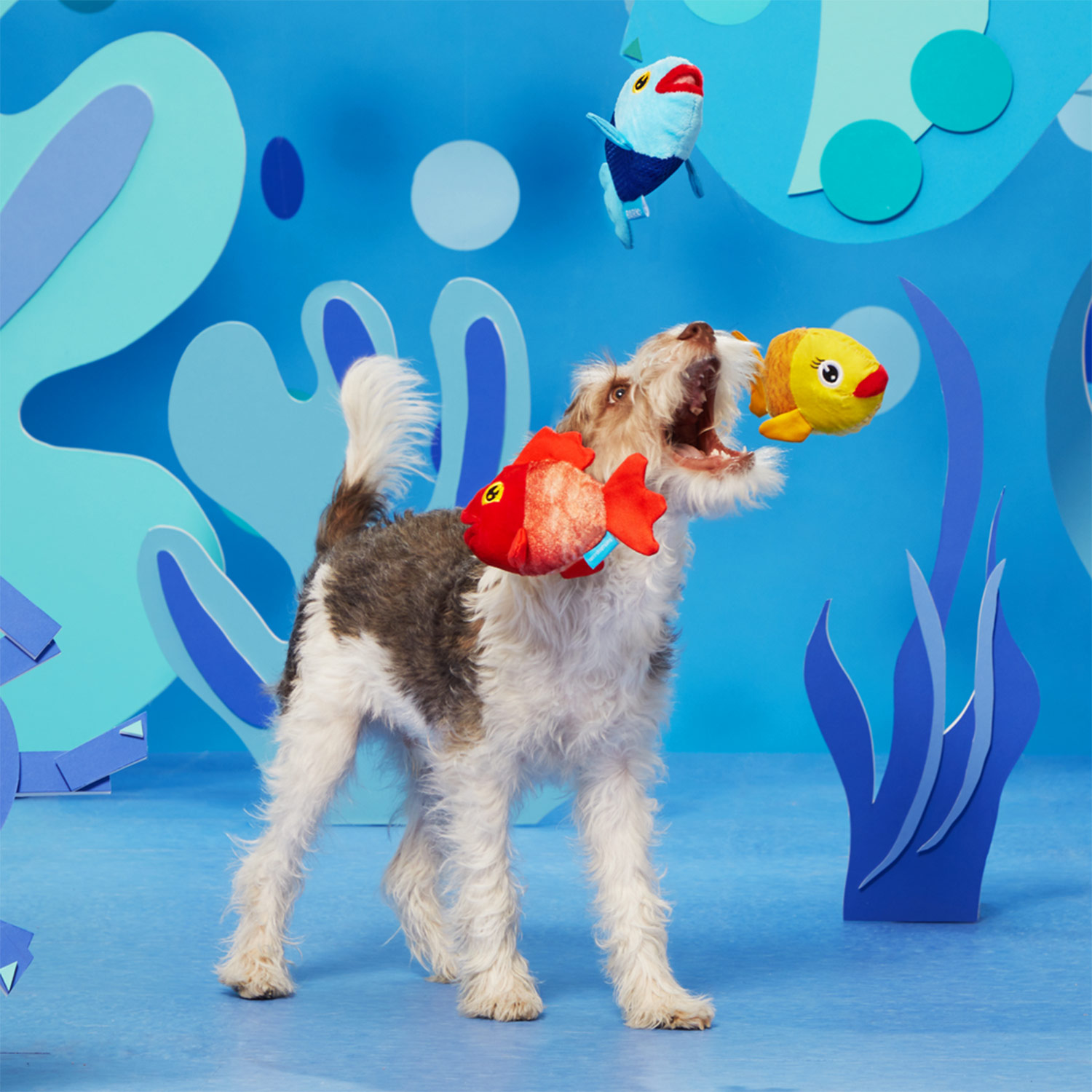 Dog Catching Bark The Groupers 3-in-1 Squeaky Plush Dog Toy