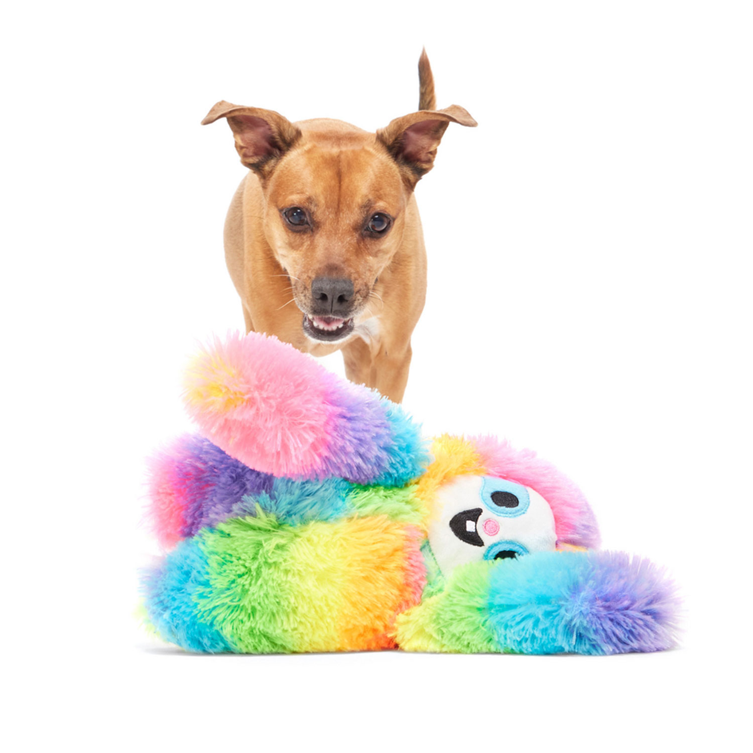 Dog Playing with Bark Good Vibes Gary Barkbox Dog Plush Toy