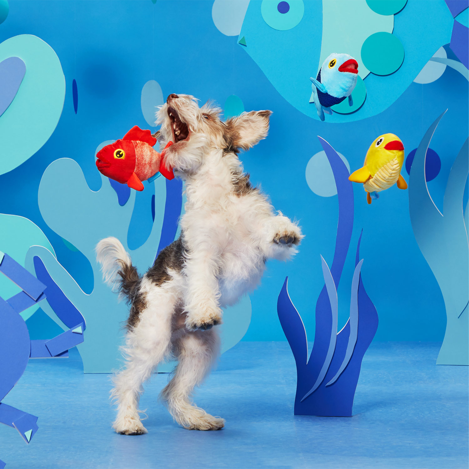 Dog Playing with Bark The Groupers 3-in-1 Squeaky Plush Dog Toy