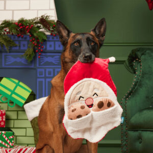 Dog Posing with Bark Kris Krumble Christmas Dog Toy