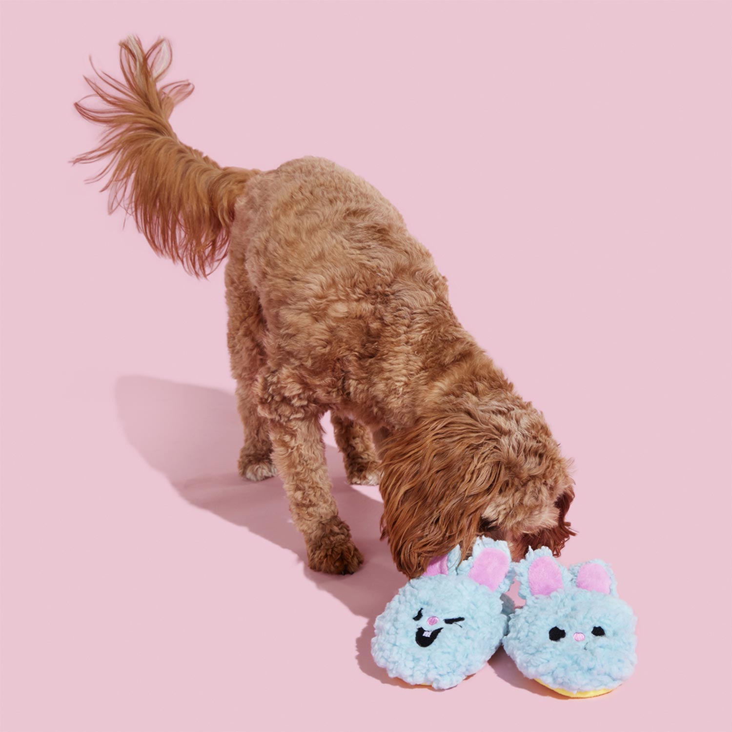 Yippy & Skippy Slippies - Image 3