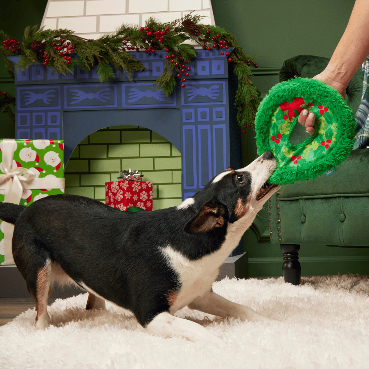 Dog playing with Bark Wreath Toss Christmas Dog toy