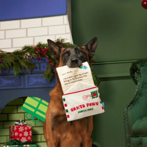 Dog posing with Bark Letter to Santa Paws Christmas Dog Toy
