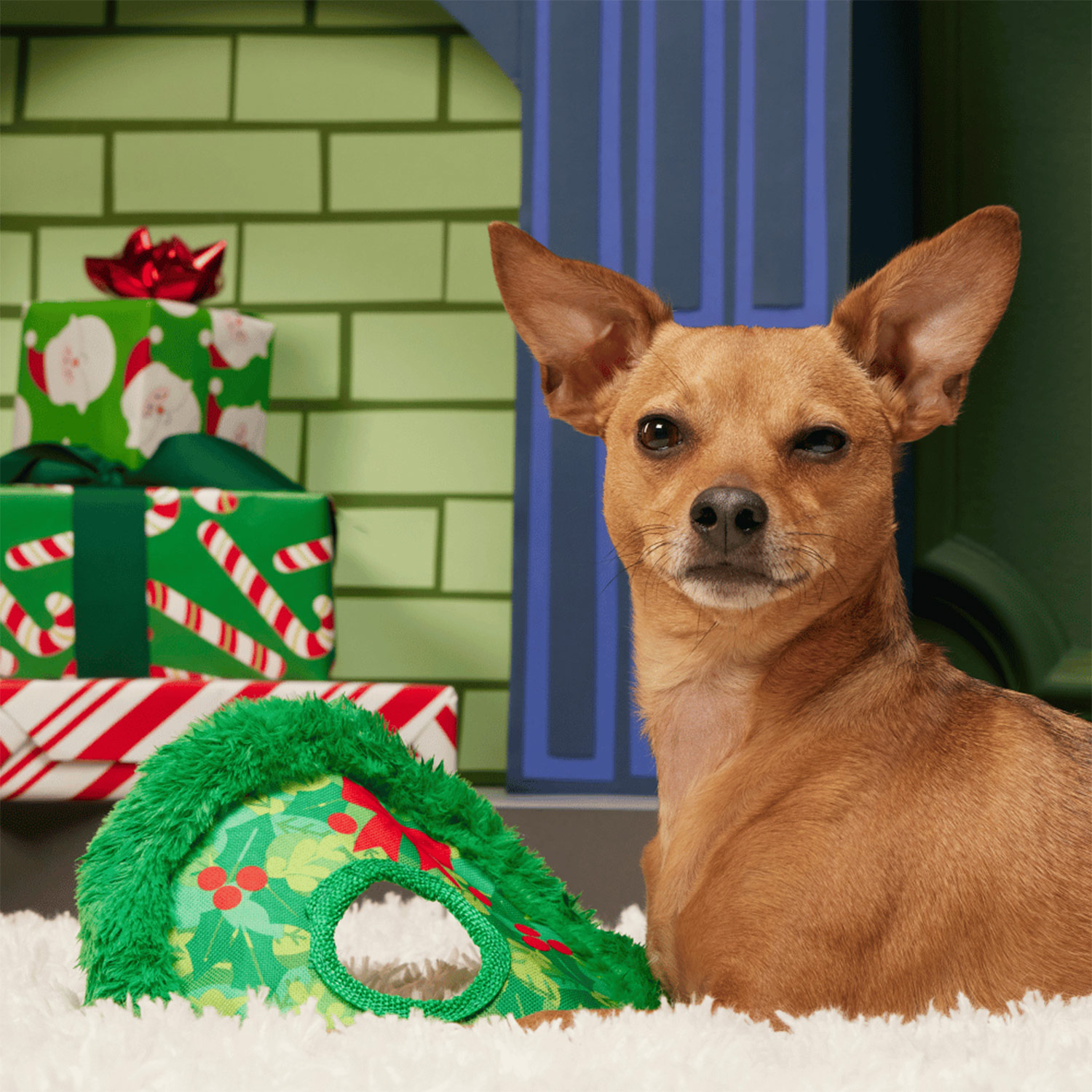 Dog posing with Bark Wreath Toss Christmas Dog toy
