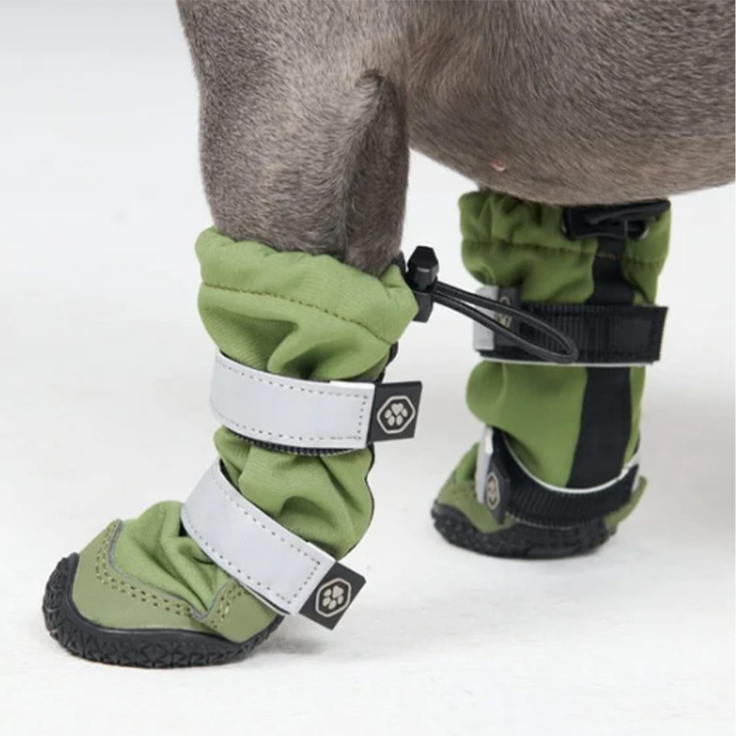 Dog wearing Spark Paws Flex Shell Waterproof Dog Boots Green