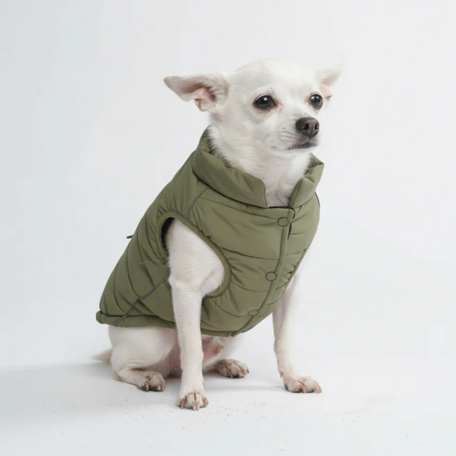 Dog wearing Spark Paws WarmShield Water-Resistant Jacket - Olive