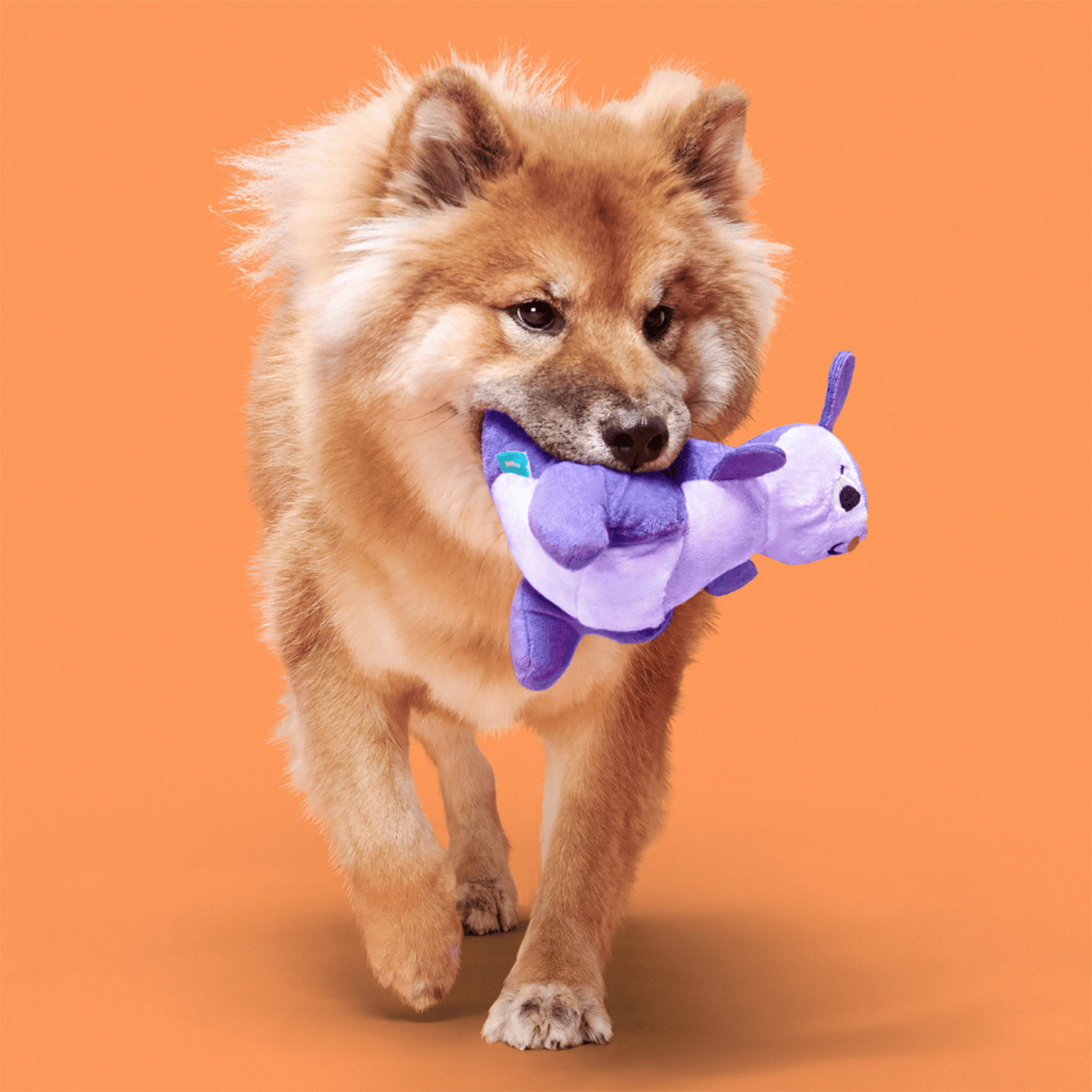 Dog with Bark Topanga Kanga Dog Squeaky Plush Toy
