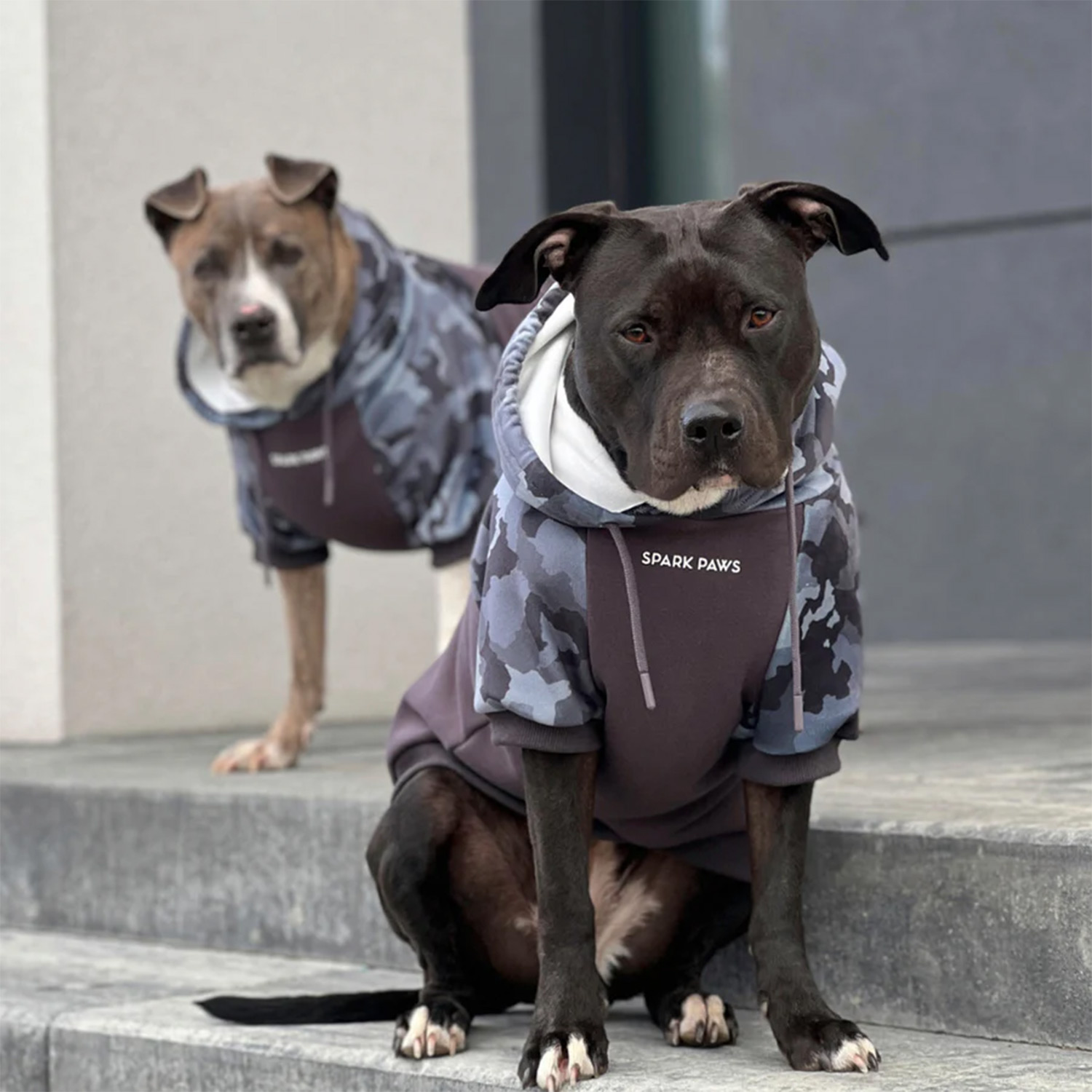 Dogs wearing Spark Paws Grey Green Camo Dog Hoodie