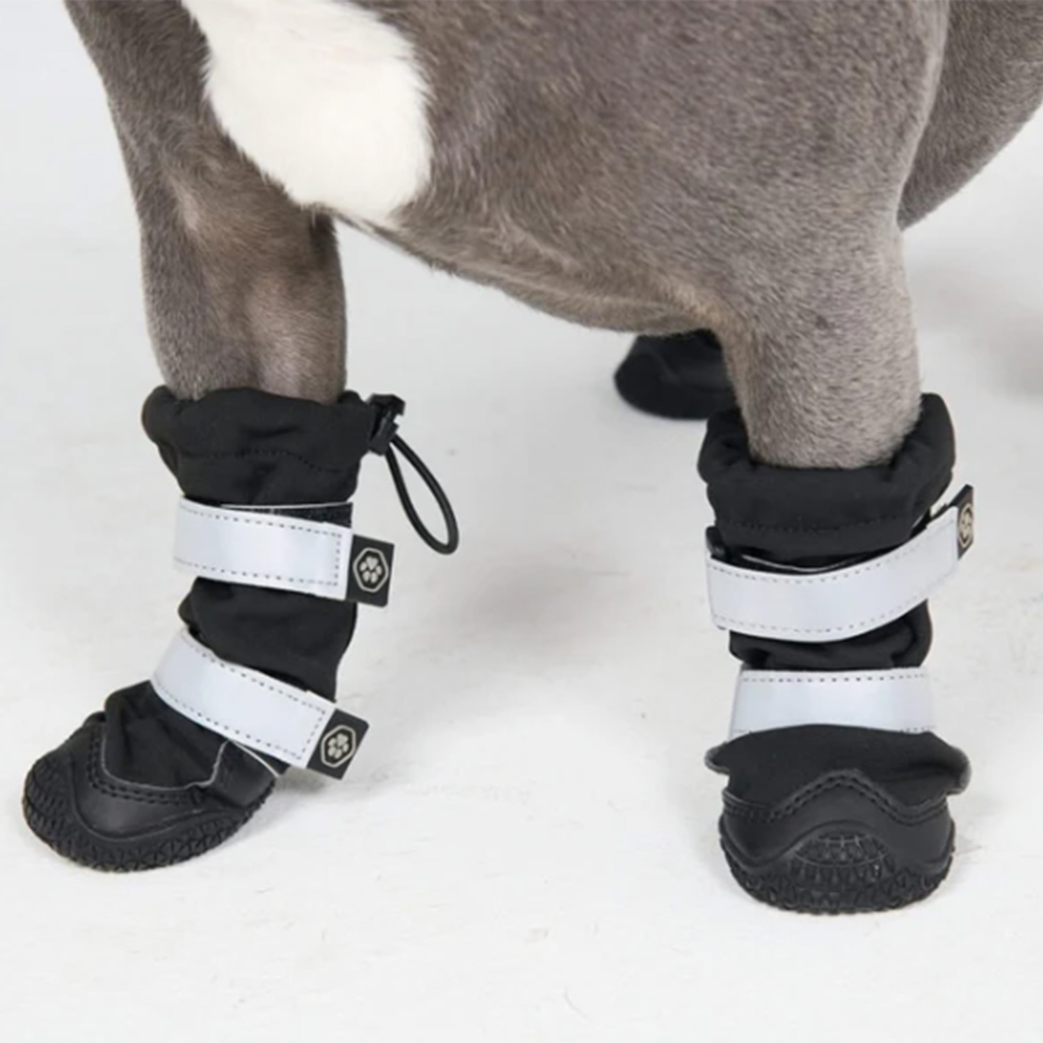 Frenchie wearing Spark Paws Flex Shell Waterproof Dog Boots - Black